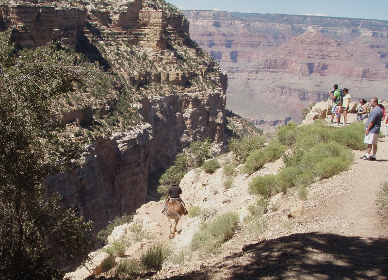 Grand Canyon 17