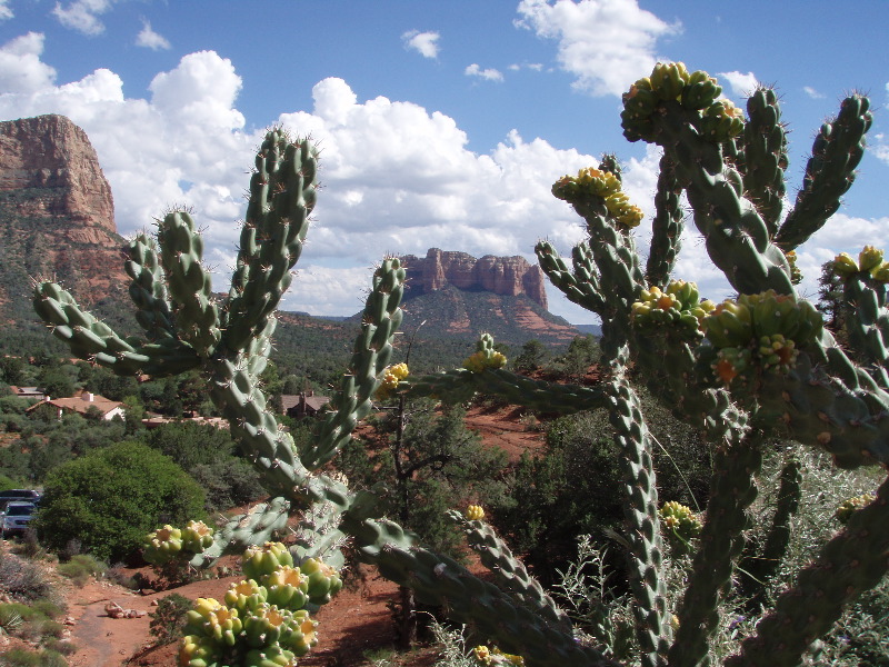 Sedona 11