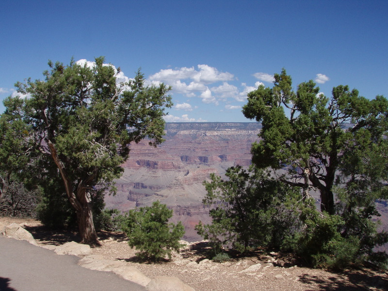 Grand Canyon 6