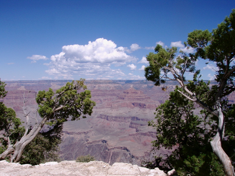 Grand Canyon 8