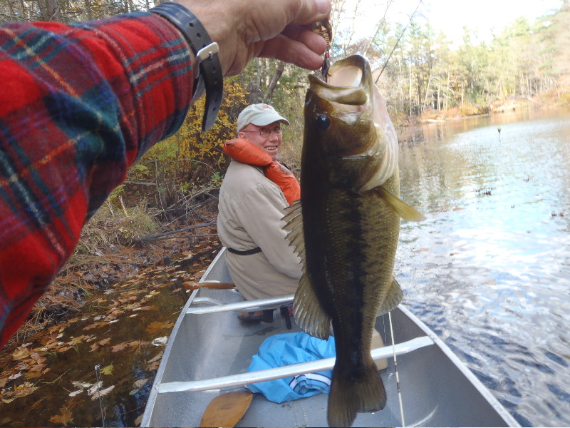 Fall Fishing Ipswich River 1