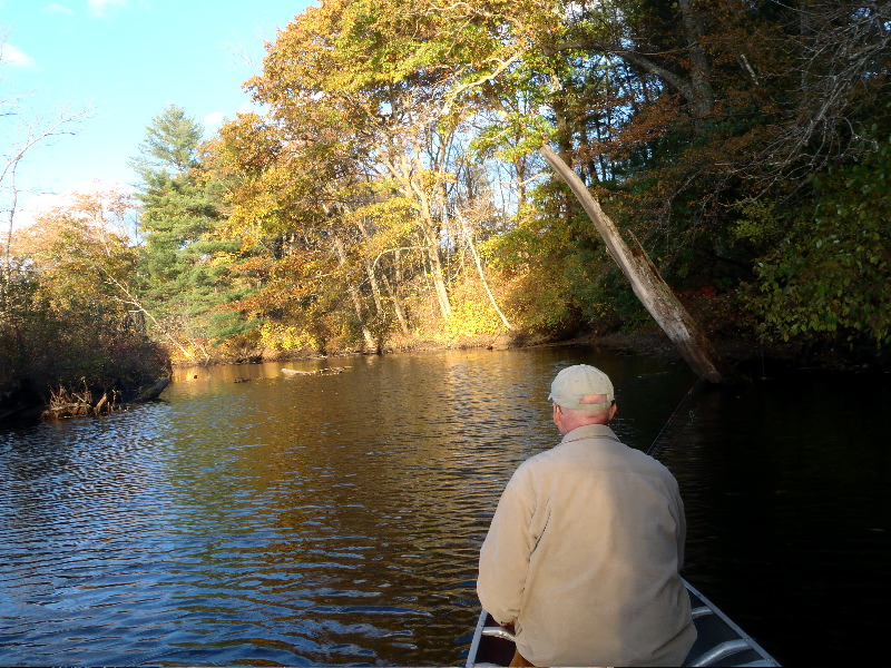 Fall Fishing Ipswich River 3