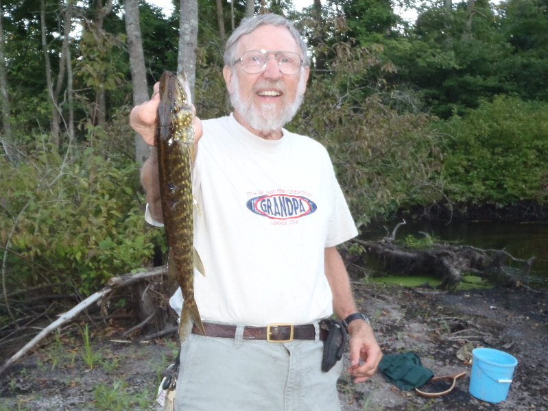 Chain Pickerel Ipswich River