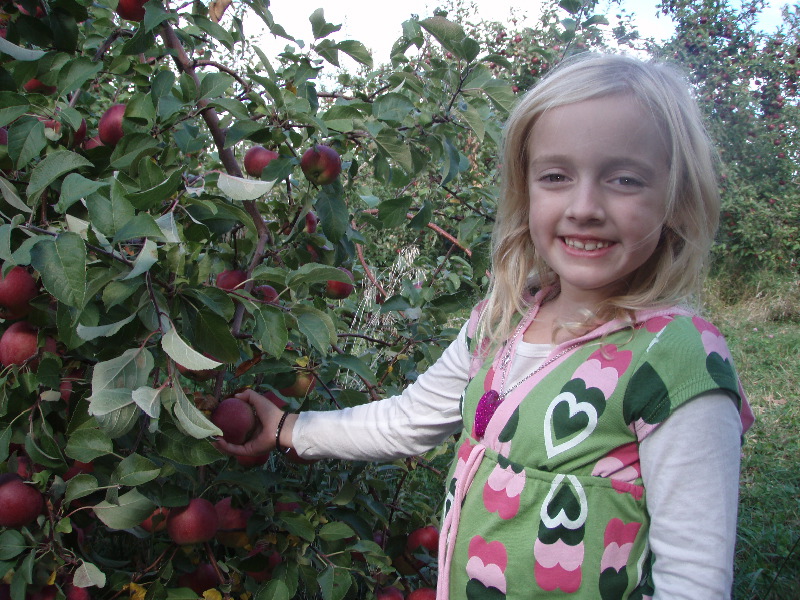 Abby picks an apple