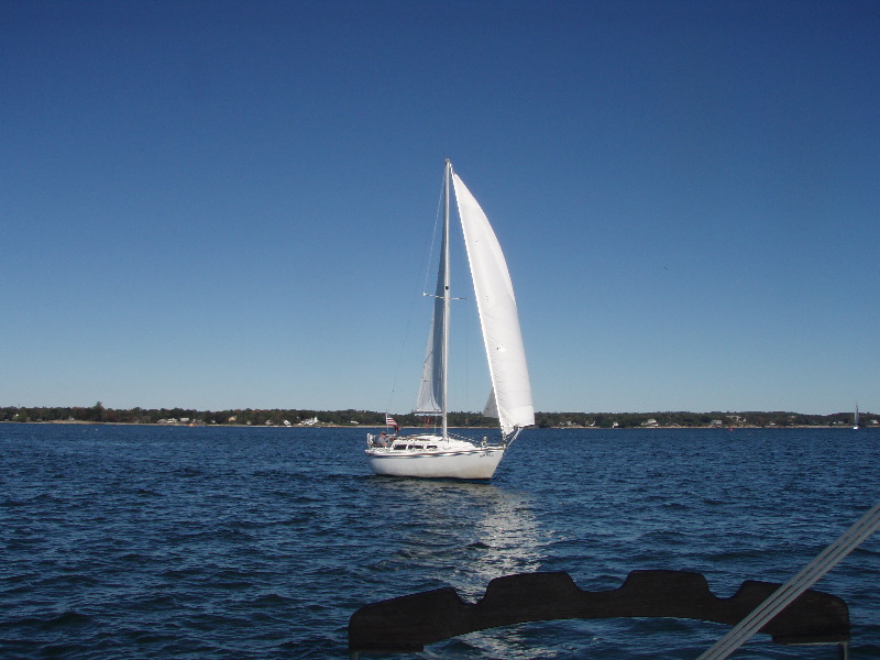 A relaxed sailor