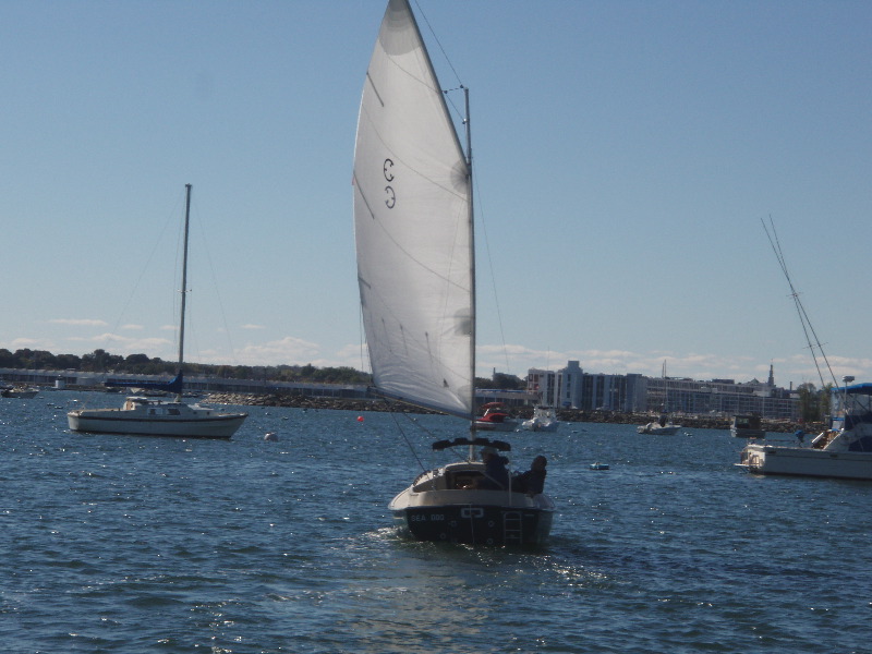 Sea Dog under sail