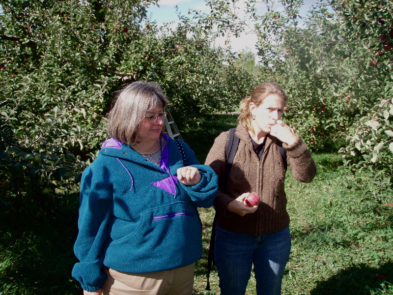 Apple picking supervisers