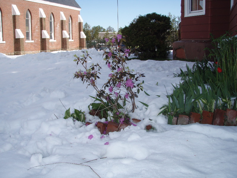 St Albans April Snow Storm 2