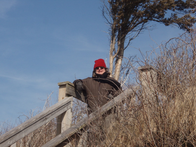 Woods Hole beach 2