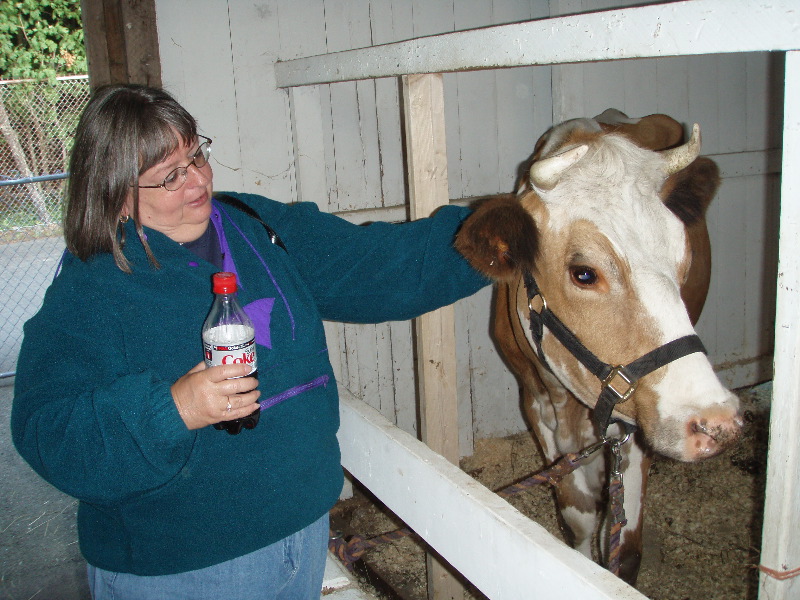 Marshfield Fair 1