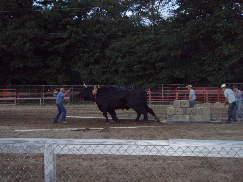 Marshfield Fair 2