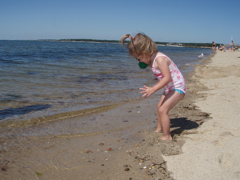 Hardings beach 2