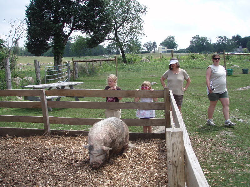 Turkeyhill Farm